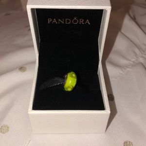 NEW Pandora charm never used